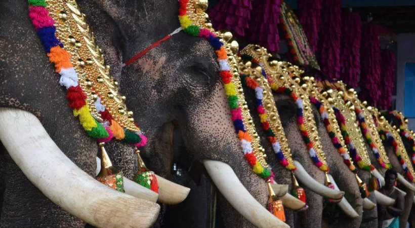 ക്ഷേത്രങ്ങളിലെ ആന എഴുന്നള്ളിപ്പ് പരിമിതപ്പെടുത്തണമെന്ന് തിരുവിതാംകൂര് ദേവസ്വം ബോര്ഡ്