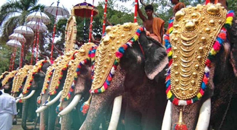 ആന എഴുന്നള്ളിപ്പ്: സര്ക്കാരിന് സുപ്രീംകോടതിയിലും ഹൈക്കോടതിയിലും രണ്ട് നിലപാടാണോ എന്ന് ഹൈക്കോടതി