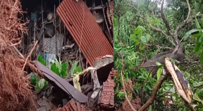 നെടുമ്പാശ്ശേരിയിൽ ശക്തമായ കാറ്റിൽ കനത്ത നാശനഷ്ടം; മരങ്ങൾ കടപുഴകിവീണു, വീടുകൾക്ക് കേടുപാട്