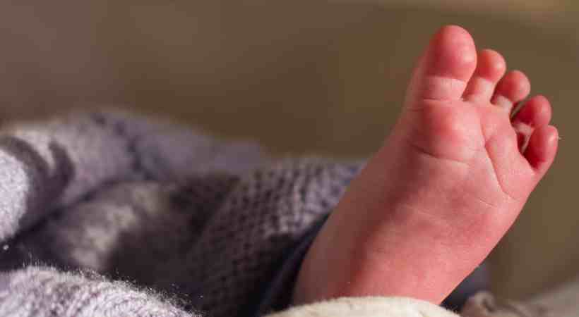 പത്തനംതിട്ടയിൽ 2 ദിവസം പ്രായമായ നവജാത ശിശു പറമ്പിൽ മരിച്ച നിലയിൽ