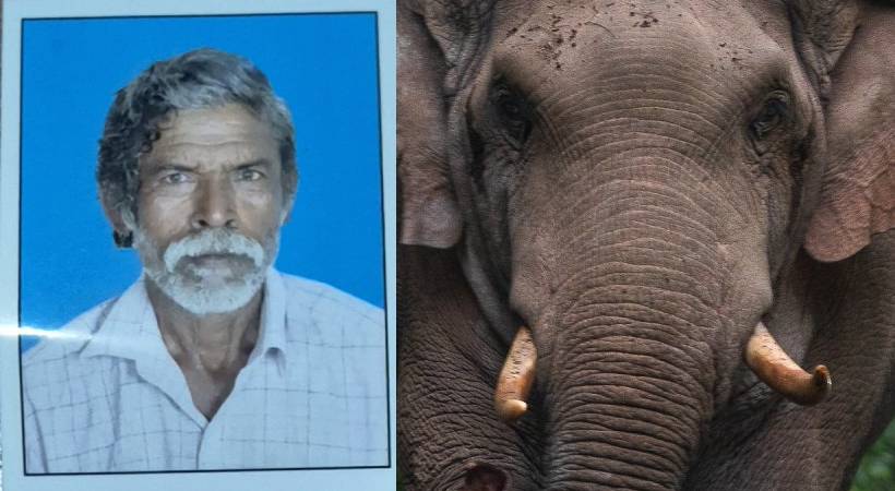 കാട്ടാന ആക്രമണത്തിൽ ഒരു ജീവൻ കൂടി പൊലിഞ്ഞു