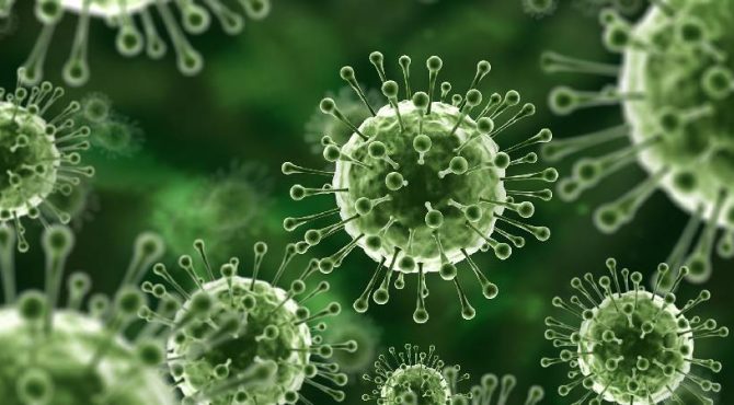 കേരളത്തിൽ വീണ്ടും നിപ; രോഗം പാലക്കാട് സ്വദേശിക്ക്, യുവതിയുടെ നില ഗുരുതരം