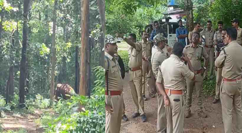 കോന്നിയിൽ കാട്ടാന ആക്രമണത്തിൽ 8 വനം വകുപ്പ് ജീവനക്കാർക്ക് പരുക്ക്.