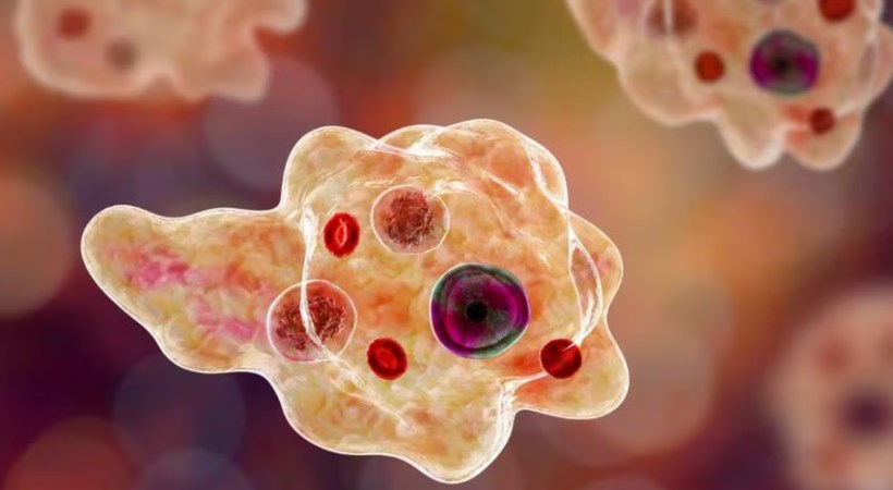 അമീബിക് മസ്തിഷ്ക ജ്വരം; സംസ്ഥാനത്ത് രോഗം സ്ഥിരീകരിച്ച നാല് പേരും കോഴിക്കോട് മെഡി. കോളജ് ആശുപത്രിയില് ചികിത്സയില്