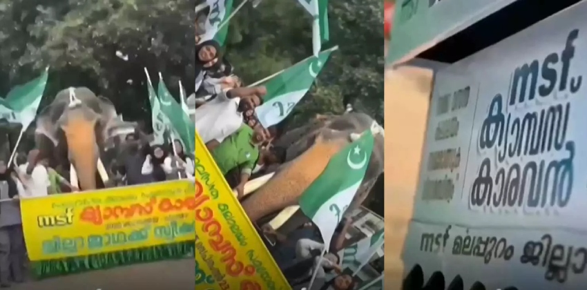 അനുമതിയില്ലാതെ ആനയെ ഉപയോഗിച്ചു; MSF ന്റെ ക്യാമ്പസ് കാരവാൻ പരിപാടിക്കെതിരെ പരാതി