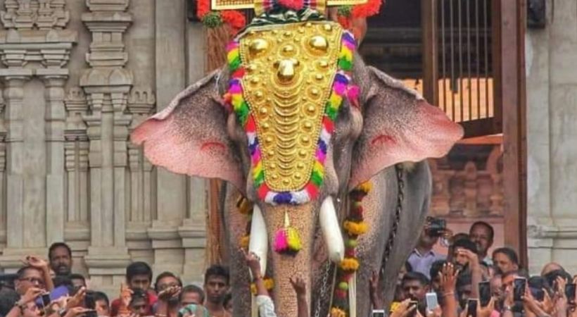 പൂരത്തിന് താരം രാമൻ തന്നെ; തെച്ചിക്കോട്ടുകാവ് രാമചന്ദ്രന് വീണ്ടും റെക്കോർഡ് ഏക്കത്തുക