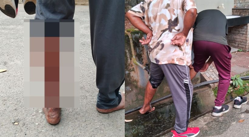 തിരുവനന്തപുരത്ത് തെരുവുനായ ആക്രമണം; മ്യൂസിയം വളപ്പില് പ്രഭാത നടത്തത്തിന് എത്തിയ അഞ്ച് പേര്ക്ക് കടിയേറ്റു