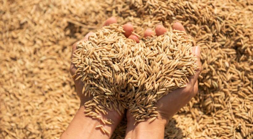 നെല്ല് സംഭരണത്തിൽ ആശ്വാസം; രണ്ട് മില്ലുകളുമായി കരാർ ഒപ്പിട്ടു