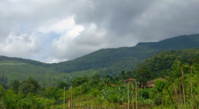 ആശ്വാസം; കടുവകളുടെ എണ്ണം എടുക്കാന്‍ പോയി ഉള്‍വനത്തില്‍ കുടങ്ങിയ വനം വകുപ്പ് ഉദ്യോഗസ്ഥരെ കണ്ടെത്തി