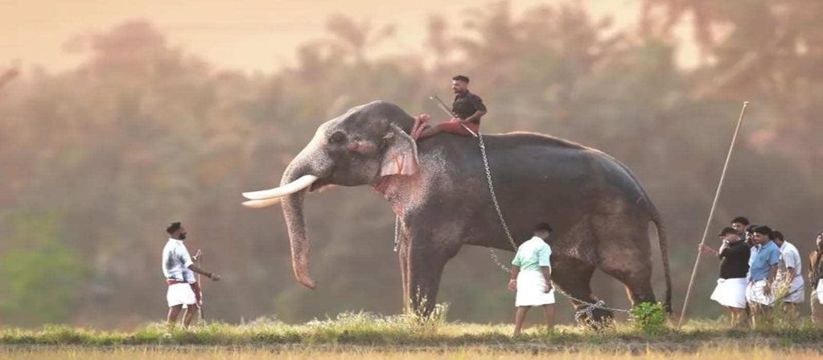 เดเดเตเดเตเดฒเตเดฒเดตเตเด เดคเตเดถเตเดฐเตโ เดชเตเดฐเดคเตเดคเดฟเดจเต เดฐเดพเดฎเดจเตเดคเตเดคเตเด; เดคเตเดเตเดเดฟเดเตเดเตเดเตเดเตเดเดพเดตเต เดฐเดพเดฎเดเดจเตเดฆเตเดฐเดจเตโ เดเตเดฎเตเดชเตเดเตเดเดพเดตเต เดญเดเดตเดคเดฟเดฏเตเดเต เดคเดฟเดเดฎเตเดชเตเดฑเตเดฑเตเด