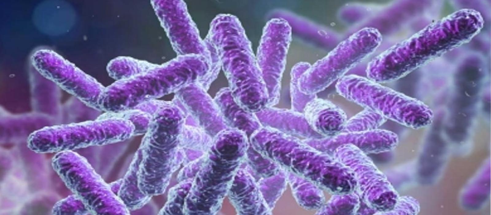 കോഴിക്കോട് മൂന്നര വയസുകാരി ഷിഗല്ല ബാധിച്ച് മരിച്ചു; മൂന്ന് കുട്ടികൾക്ക് രോഗ ലക്ഷണം