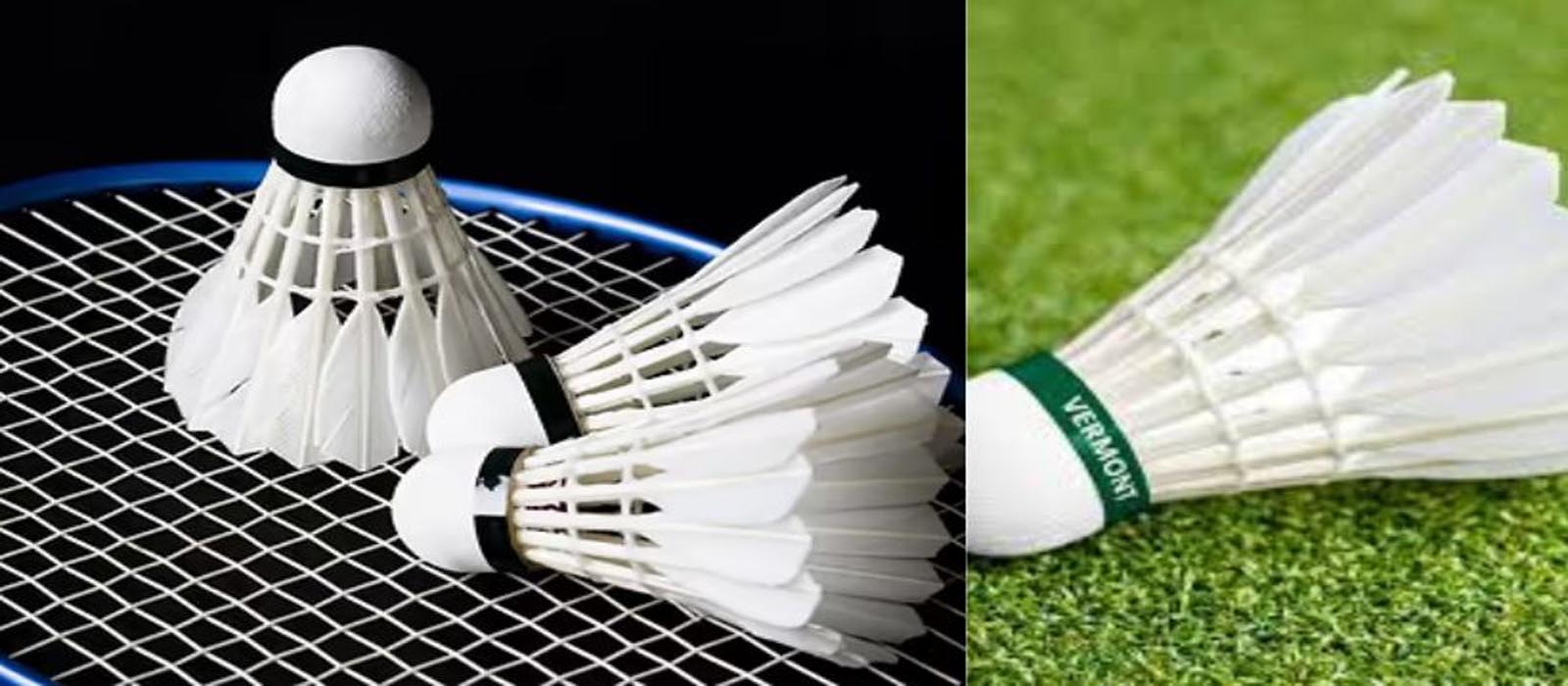 താറാവ് തൂവലിന് കടുത്ത ക്ഷാമം; ബാഡ്മിന്റണ്‍ കോര്‍ട്ടുകളില്‍ ഇനി സിന്തറ്റിക് കോക്കുകളും ഉയര്‍ന്നുപൊങ്ങും