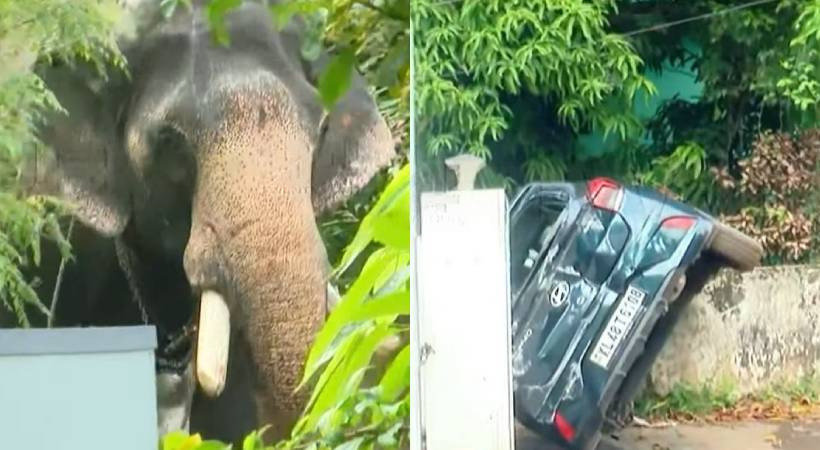 തൃശൂർ നഗരത്തിൽ ആന ഇടഞ്ഞു; കാറും ഓട്ടോയും തകർത്തു, ആന ജനവാസമേഖലയിൽ