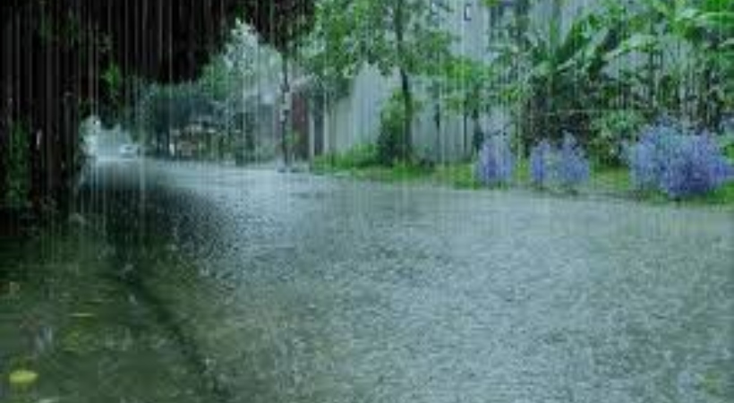 കനത്ത മഴ: ഇന്ന് 11 ജില്ലകള്ക്ക് യെല്ലോ അലേര്ട്ട്; രണ്ട് ജില്ലകളിലെ വിദ്യാഭ്യാസ സ്ഥാപനങ്ങള്ക്ക് അവധി