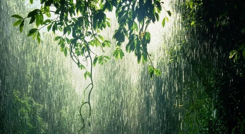 വെള്ളിയാഴ്ച വരെ ശക്തമായ മഴ തുടരും; മുന്നറിയിപ്പുകള്‍ ഇങ്ങനെ