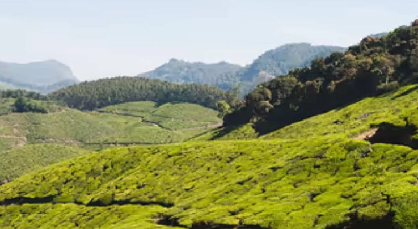 വനത്തോട് ചേര്‍ന്ന തോട്ടം മേഖലയില്‍ രാത്രി സഞ്ചാരത്തിന് നിയന്ത്രണം; ഇടുക്കി ജില്ലാ കളക്ടറുടെ ഉത്തരവില്‍ വിവാദം